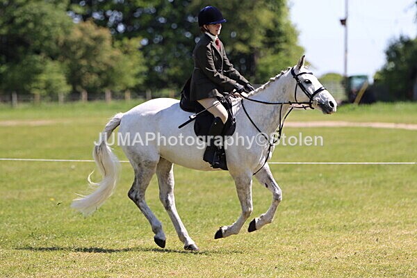 IMG_3575 - Working Hunter