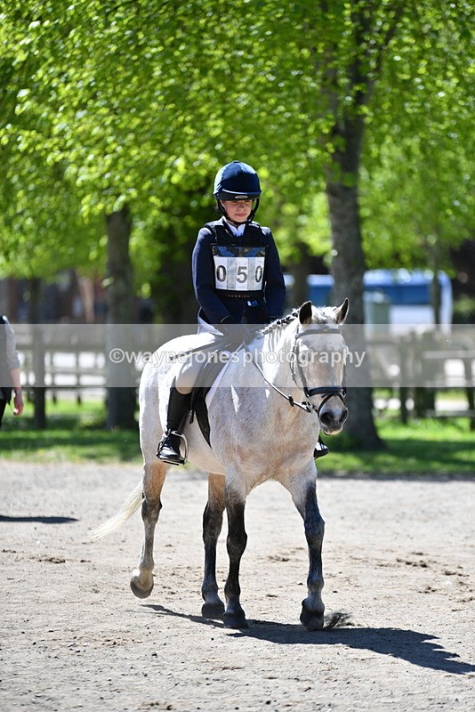 WJ5_7341 - 70cm time 11:52 to 12:11