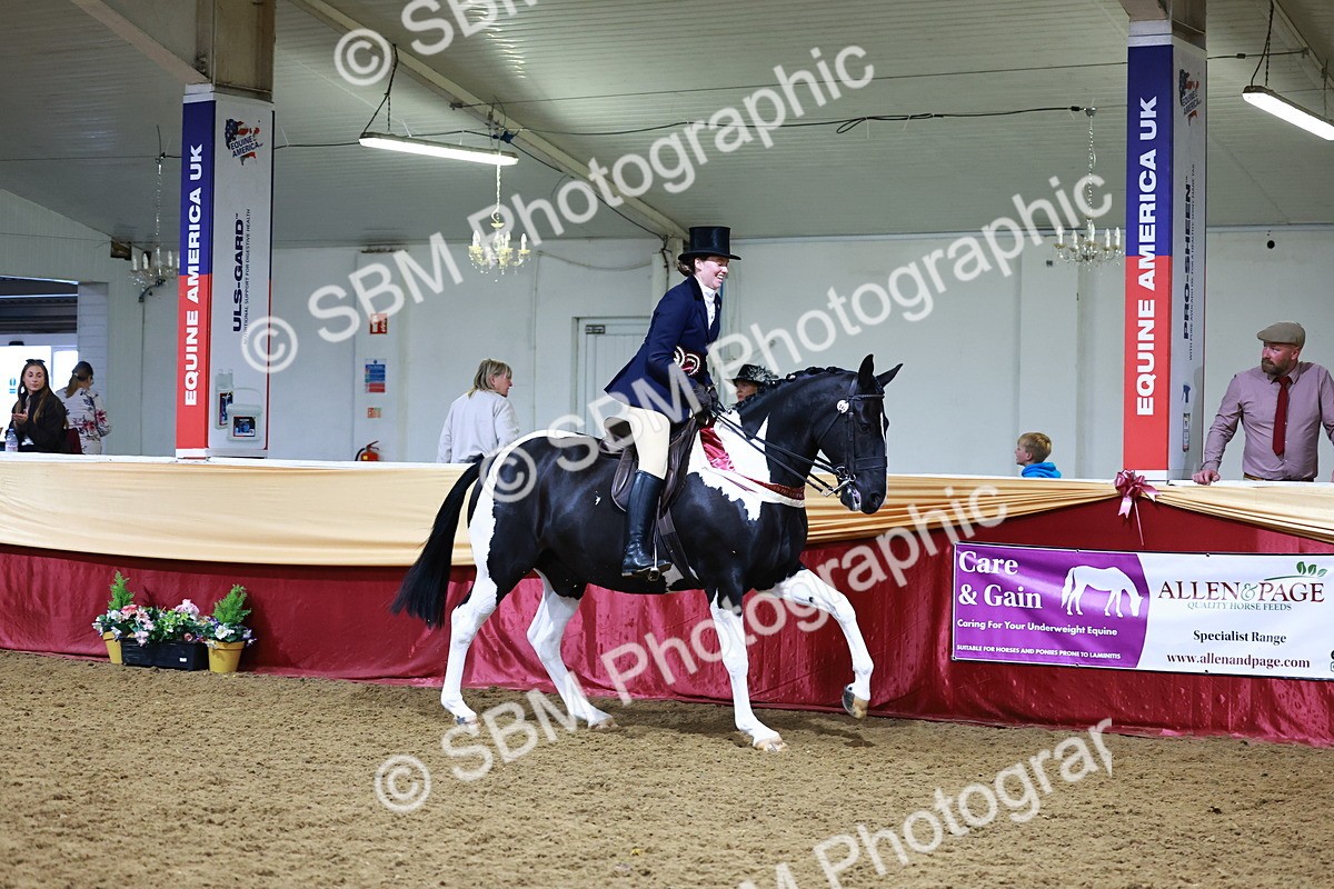 SBM_23628 - class 906 - Supreme Final - Ridden Pre Vet