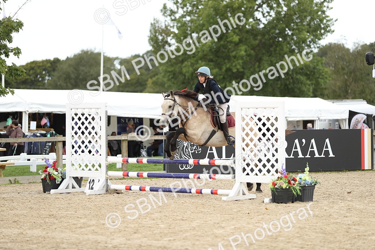 SBM_06319 - J29 - Senior Horse & Pony 65cm Championship