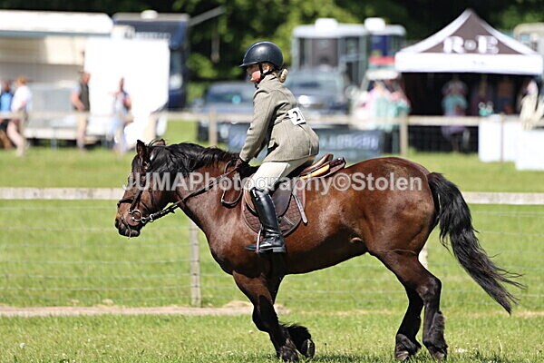 IMG_3615 - Working Hunter