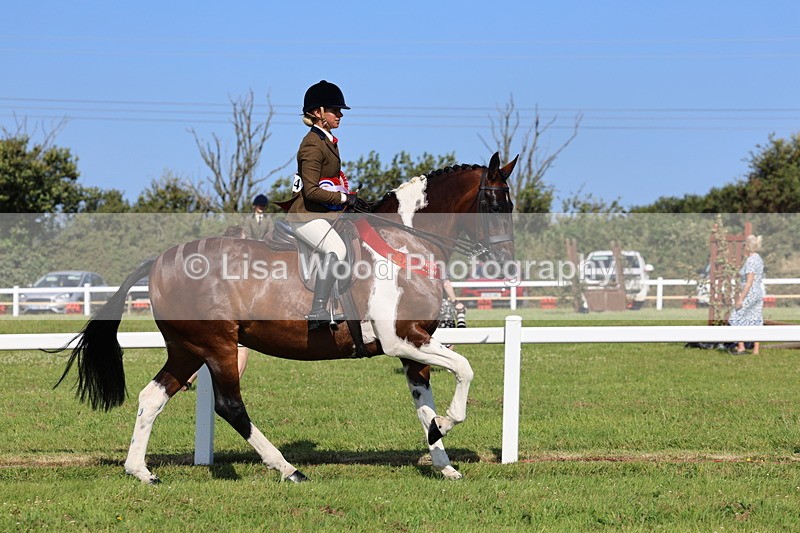 IMG_1692 - Skewbald and Piebald Ridden Championship
