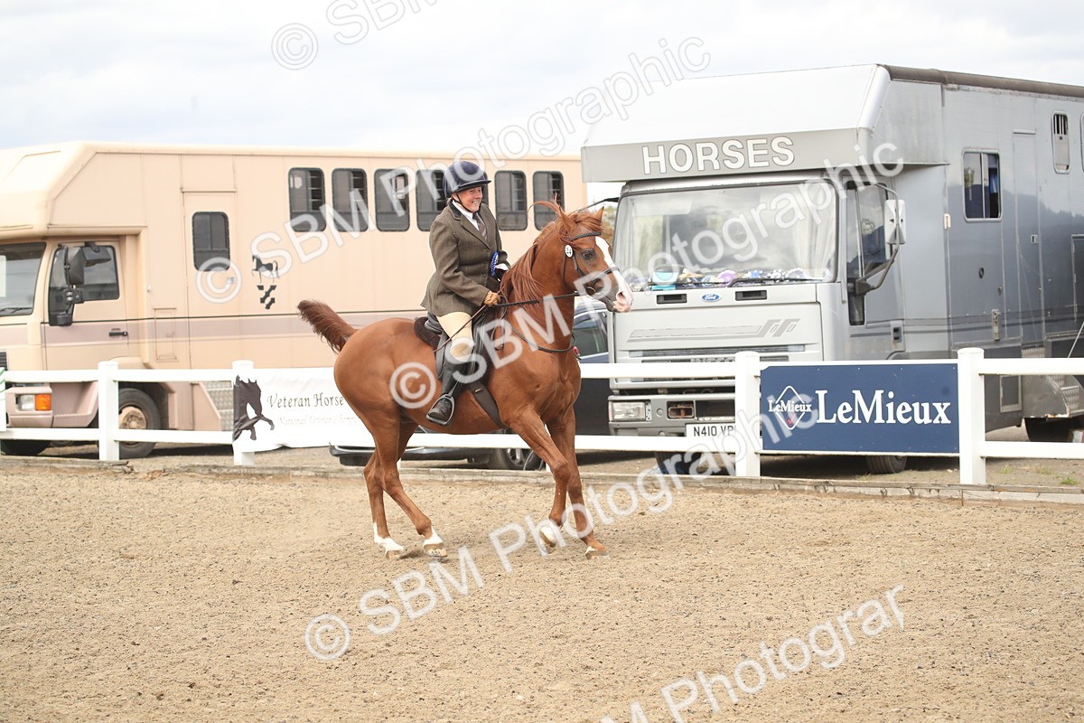 SBM_16579 - Class 506b - Working Veteran - 50cm (20+)