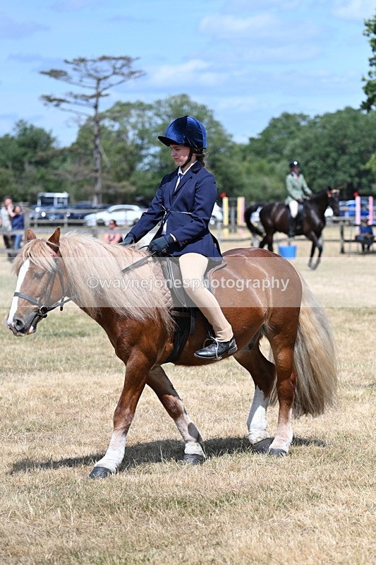 WJ7_3262 - Class 8 Ridden Veterans