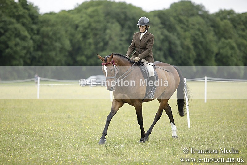 BVR160717-1016 - Ring 1 BVRC Show 16/07/17