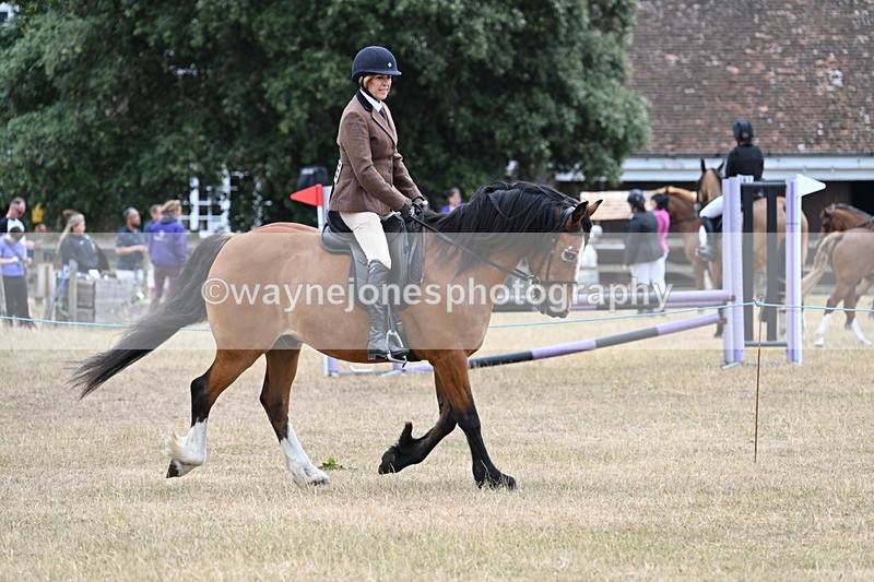 WJ7_0522 - Class 6 Ridden Mountain and Moorland
