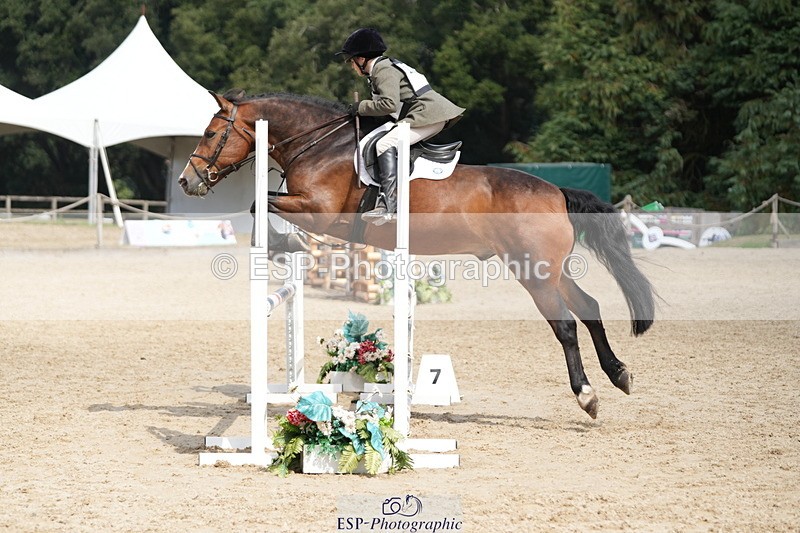 250824A-134105-37626 - 2147-George.Walford-meadow.sweet.conker