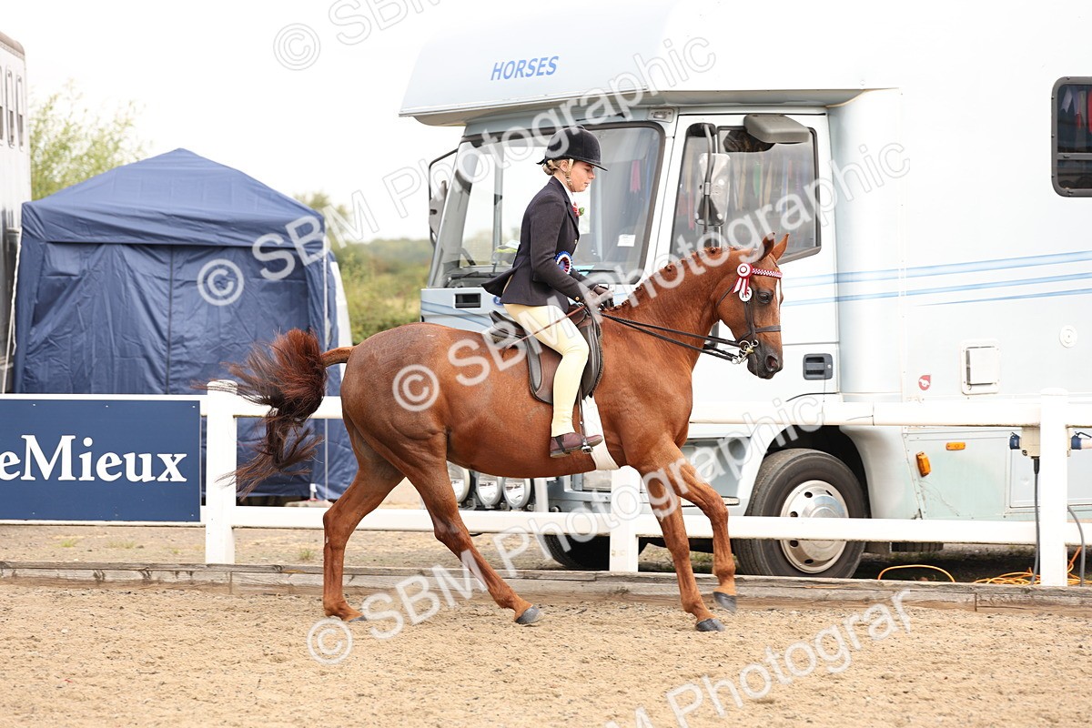 SBM_01653 - Class 52 - Ridden Veteran