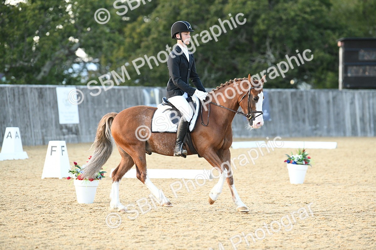 SBM_30984 - D16 - Small Tour Championship - Novice 28