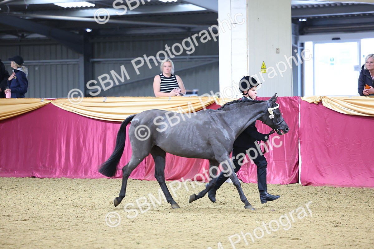 SBM_18548 - Class B Junior Champ 11-16 years