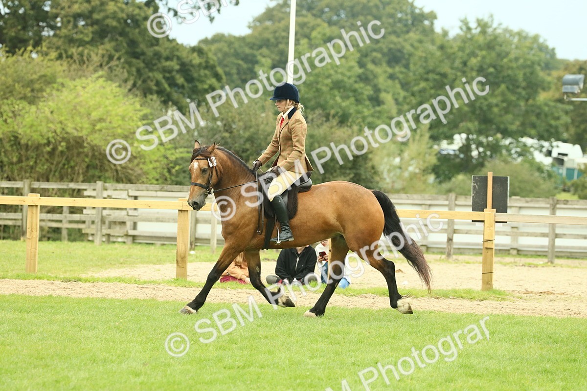 SBM_72147 - S60 - Mountain & Moorland Ridden Large Breeds