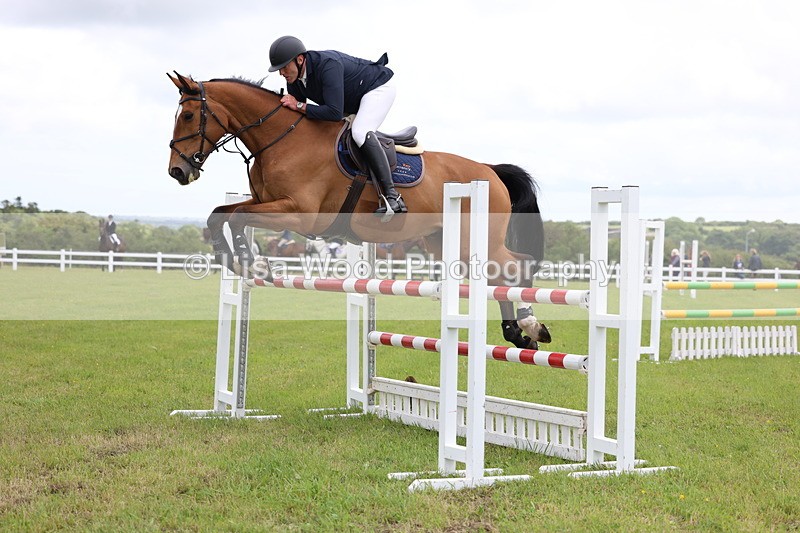 3E7A7058 - Class 12: Senior Foxhunter/1.20 open