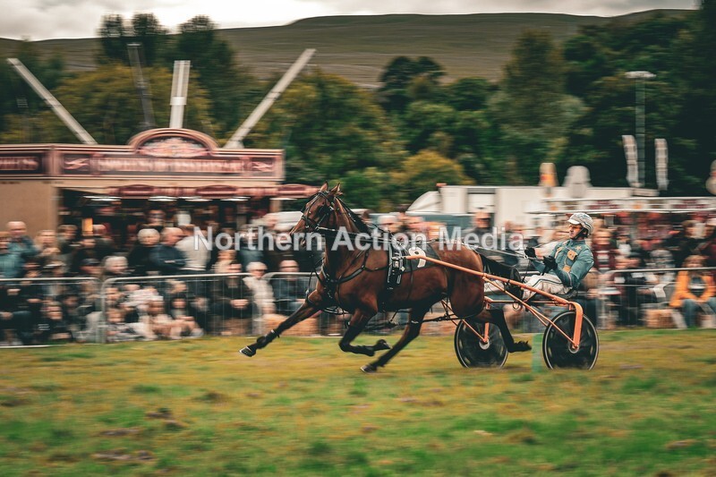 DSCF7251-2 - Kilnsey Harness racing