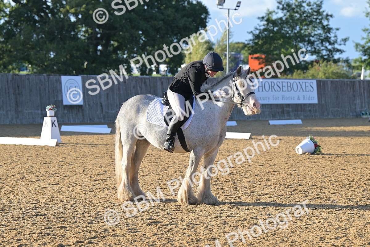 SBM_13163 - D3 - Small Tour Championship Intro 3