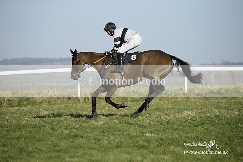 PtP 270222 283 - South & West Wilts Point-to-Point Larkhill 27/02/22