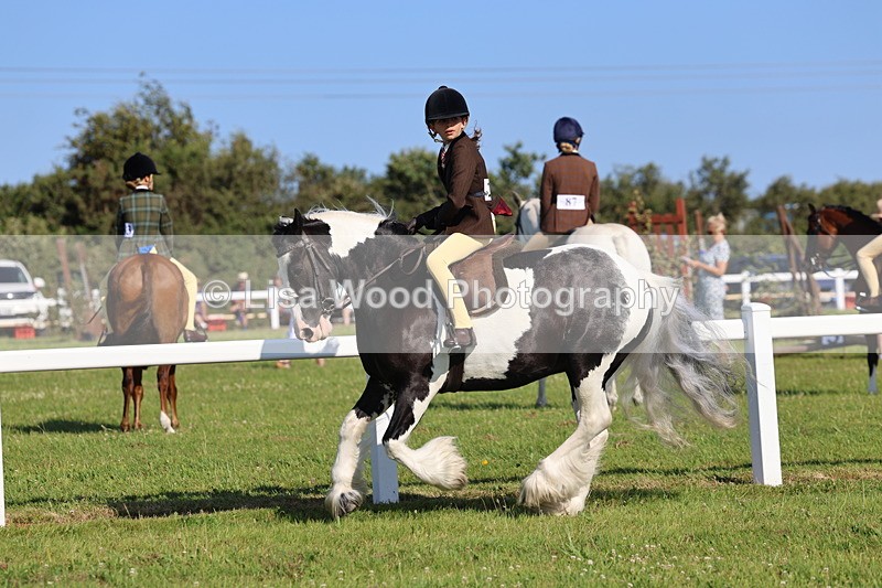 IMG_1530 - Class 30: Ridden Native/Trad Coloured Pony