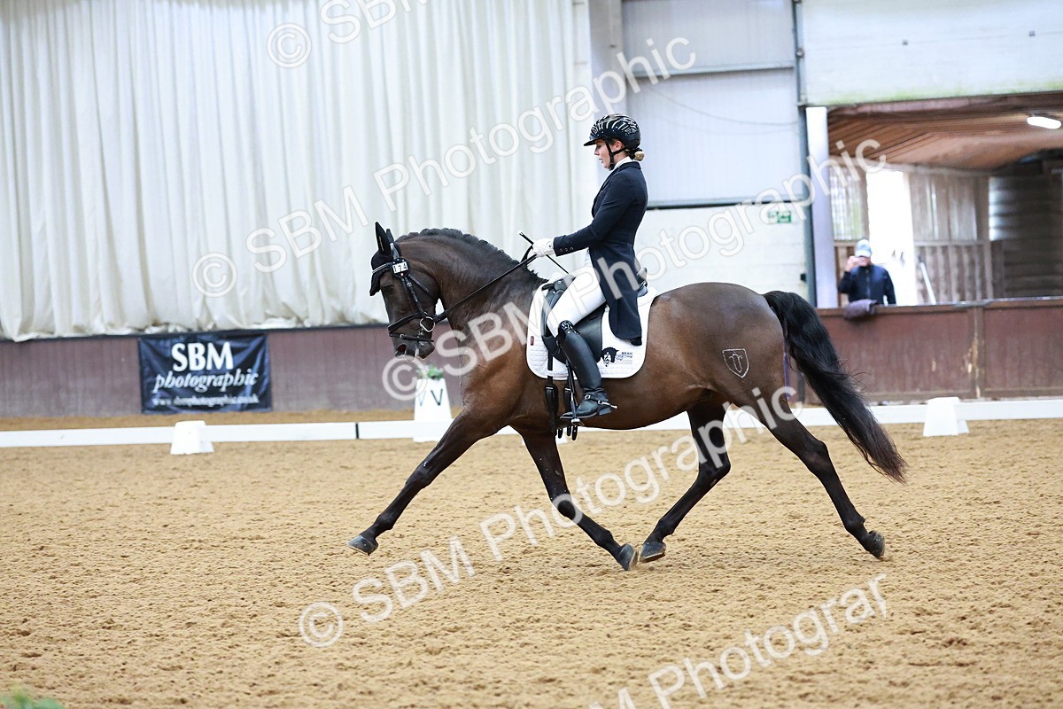 SBM_001091 - Class 12-19-16 - Lusitania-FEI INT I - PYO ADV 1