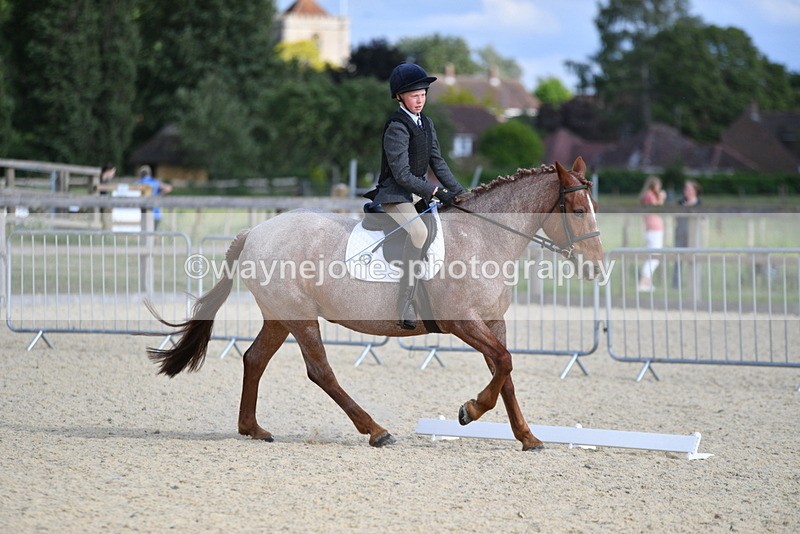 WJ5_8024 - Time 16:56 to 17:14