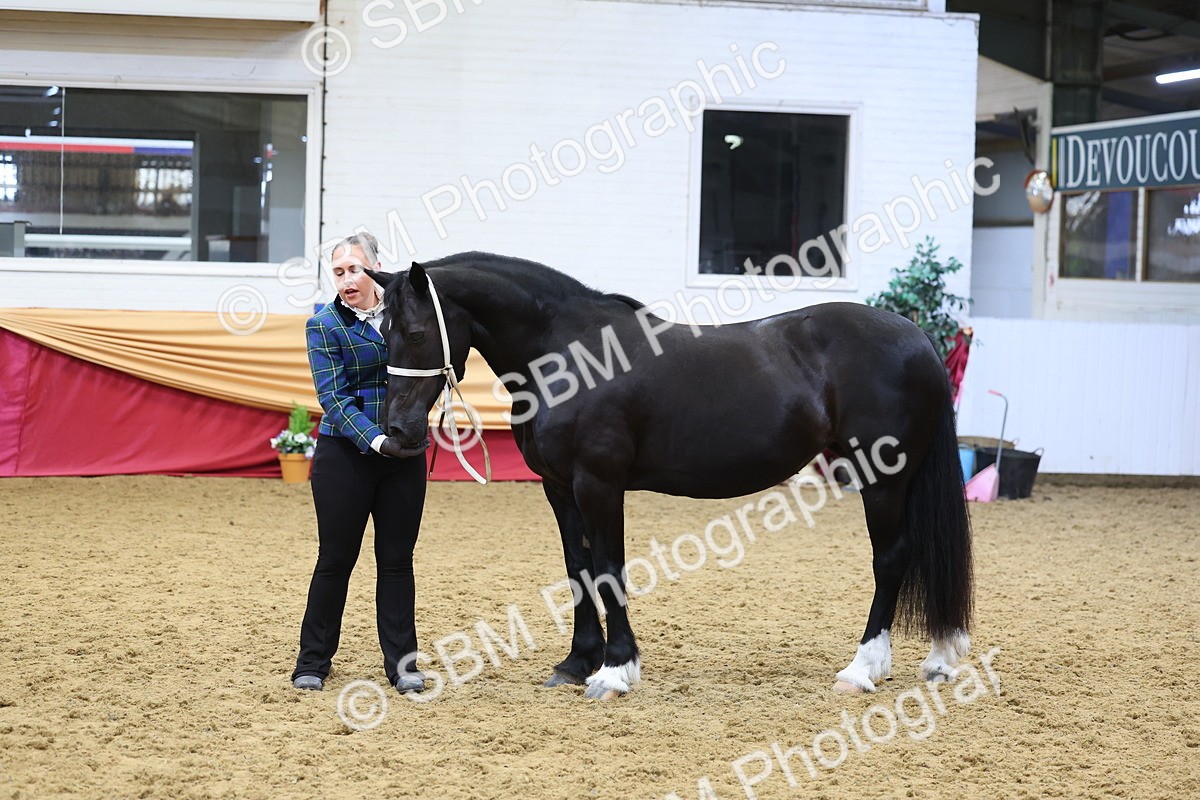 SBM_22844 - Class 903 - Supreme Final - IH Pre Vet