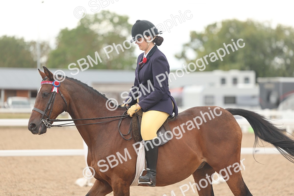 SBM_16053 - Class 311 - Ridden Show pony-Show hunter Pony