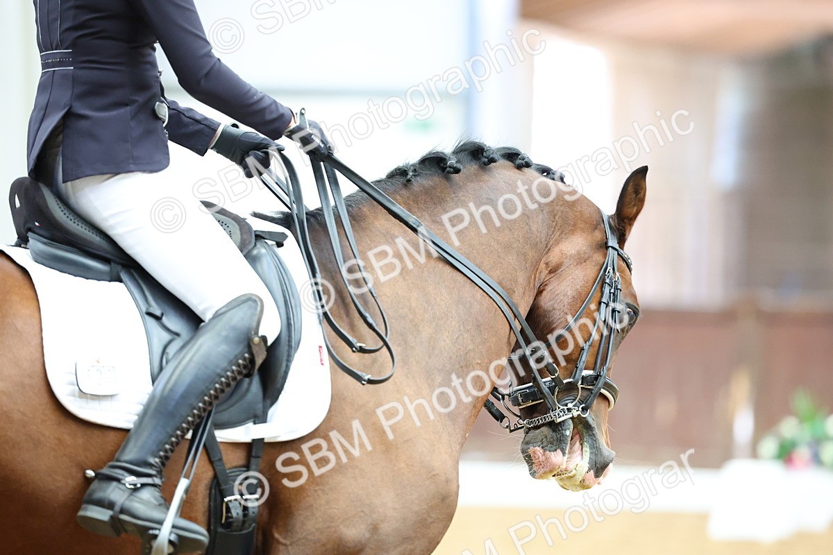 SBM_018169 - Class 19 - Adv Medium FSM - 14.10-15.30