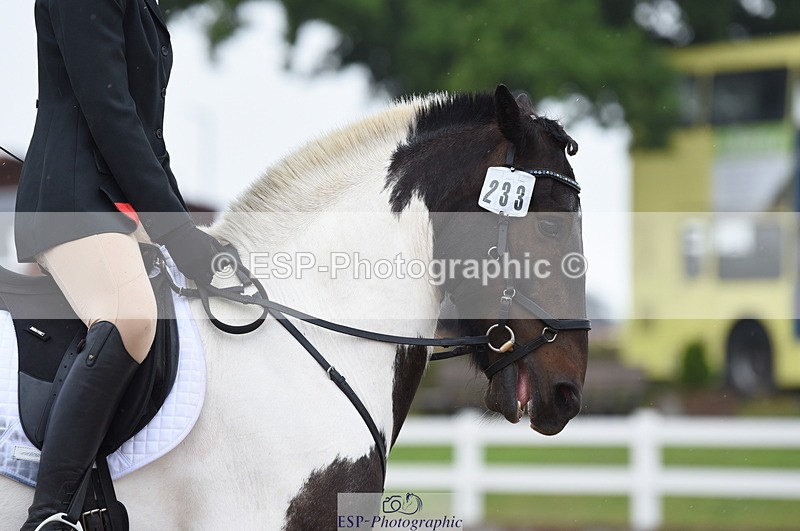 230708A-132036-01894 - Prelim 7