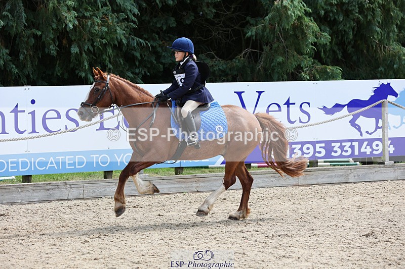 240823X-130229-17063 - 60cm R1 11.30 to 13.30