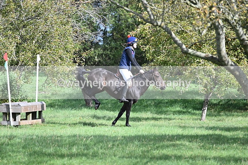 WJ7_8576 - 60cm Pairs