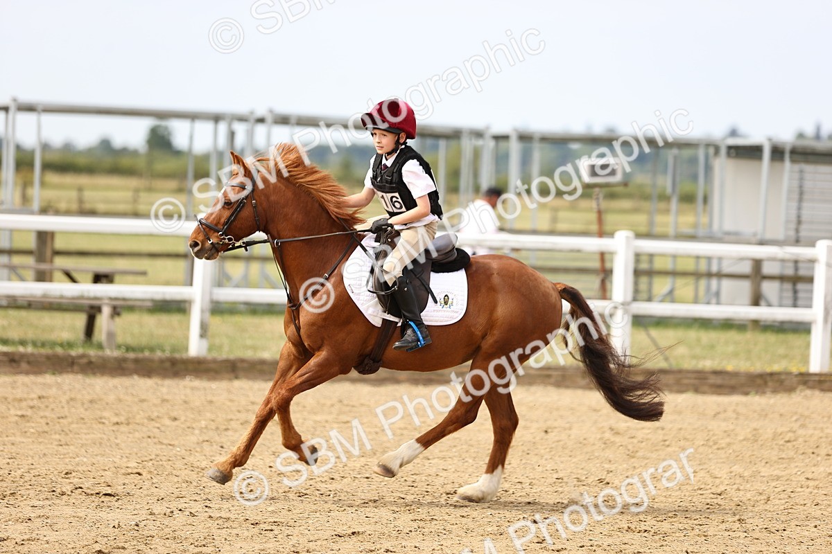 SBM_001645 - Class 2 - 50cm