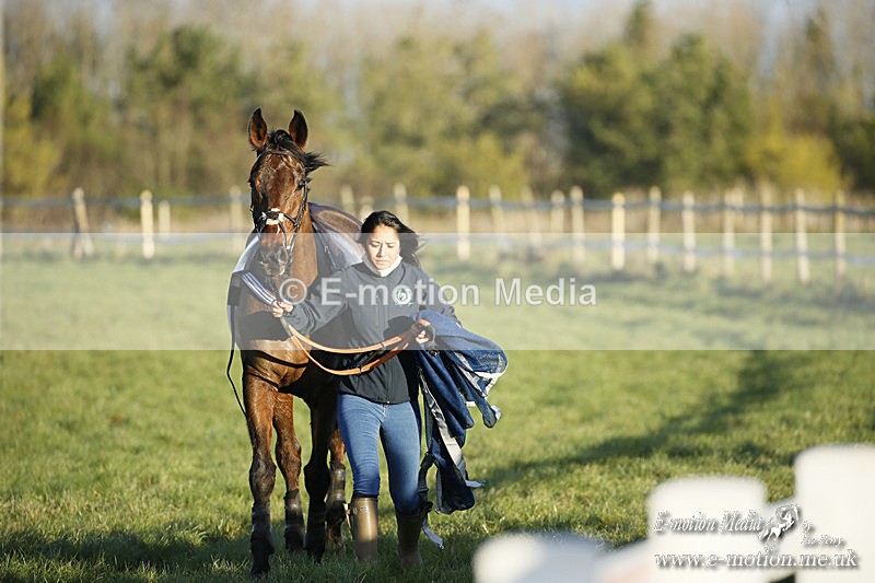 PtP 121220 637 - Avon Vale Races Larkhill 12/12/20