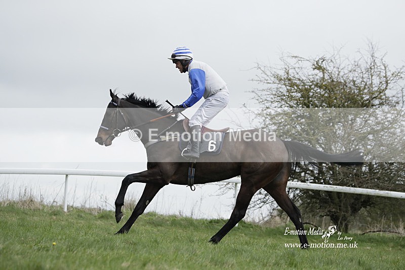 PtP 260323 0684 - New Forest Hounds Point-to-Point Larkhill 26/03/23