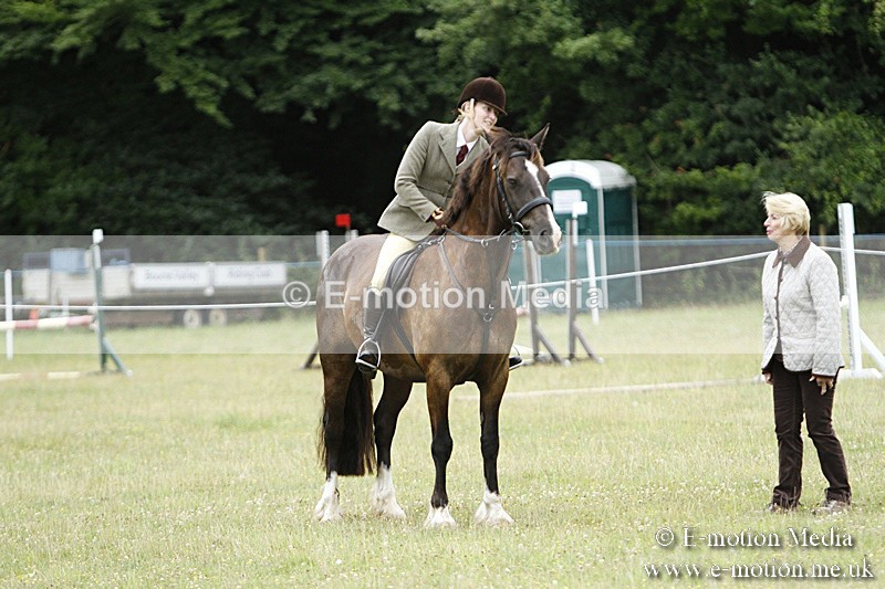 BVR160717-84 - Ring 3 BVRC Show 16/07/17