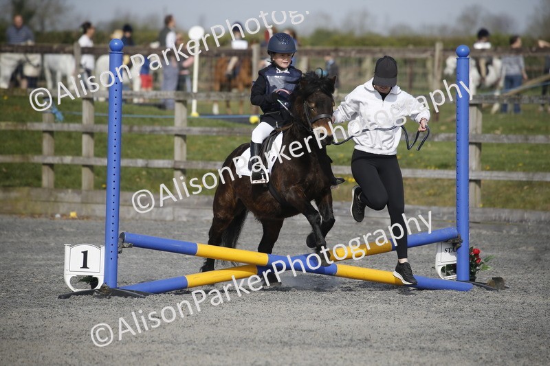 20250412-0125 - Show Jumping