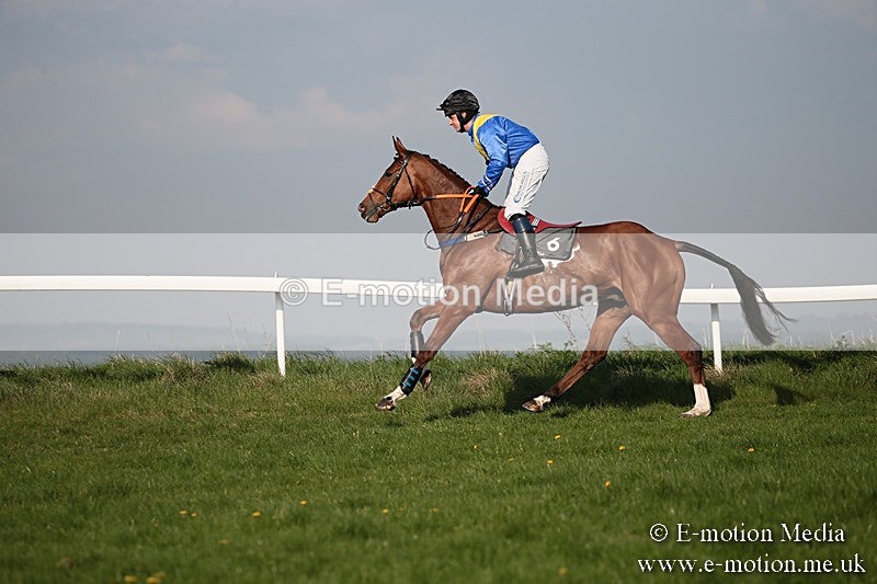 PtP 210418 586 - South & West Wilts Point-to-Point Larkhill 21/04/18