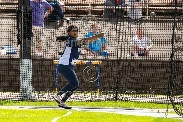 SIAB23-913019 - Field Female Set One