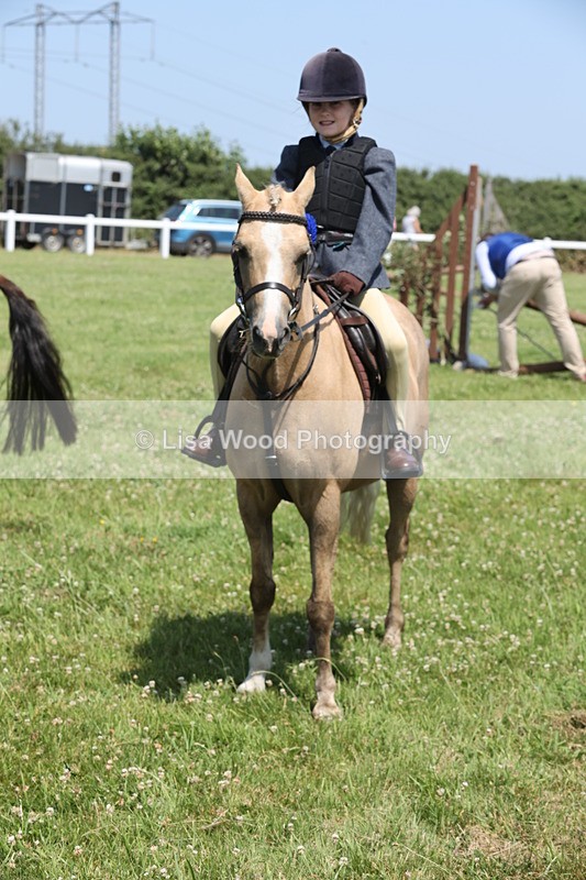 JPP_2376 - Class 20: Tiny Tots Working Hunter Pony