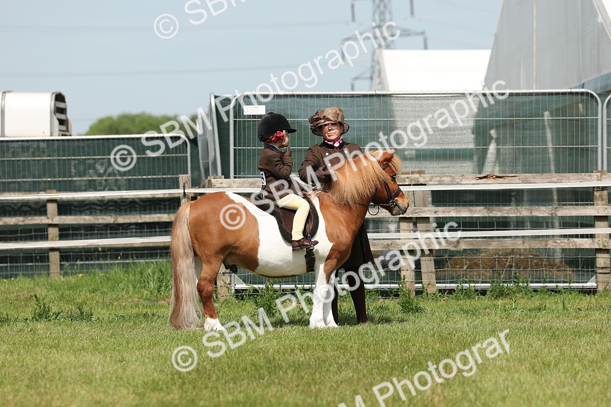 SBM_05197 - Class 24-25 - Mountain & Moorland In Hand Lead Rein and First Ridden