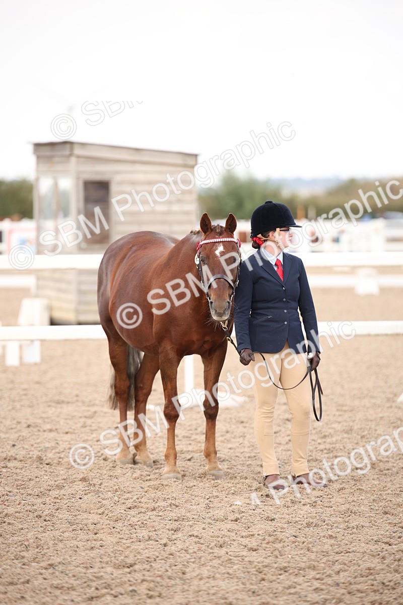 SBM_08251 - Class 27 - IH Competition Horse-Pony