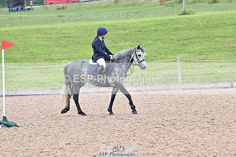 250610A-160050-00071 - Clear Round and 60cm