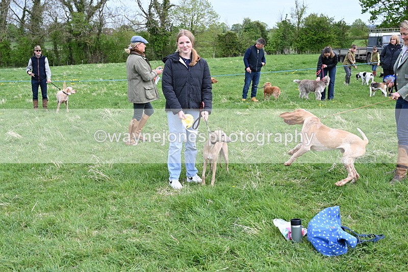 WJ6_8172 - Class 2 Best Pedigree