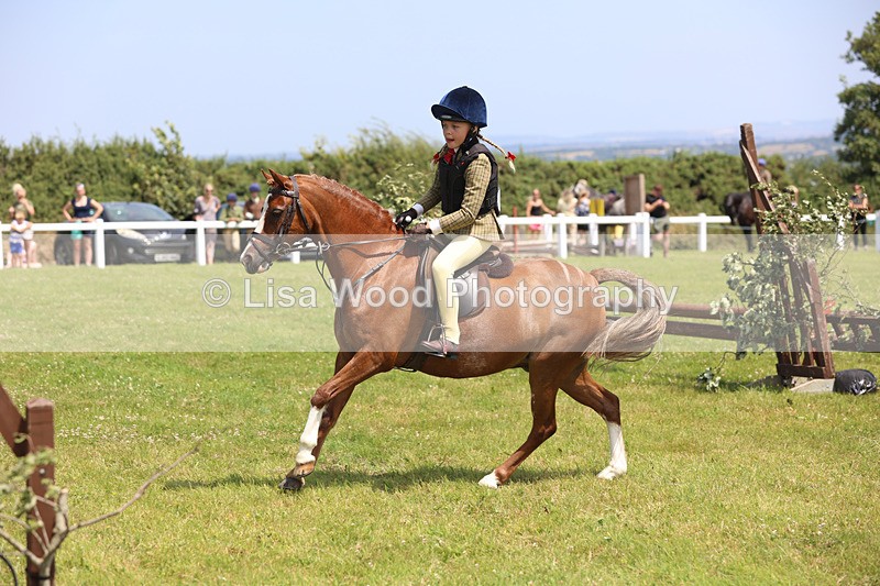 JPP_2500 - Class 21: Working Hunter 60cm