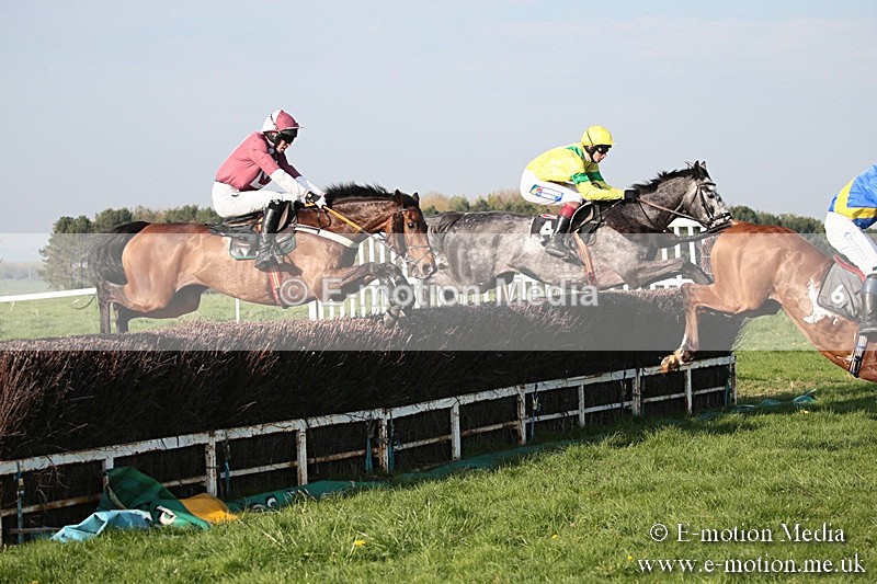 PtP 210418 613 - South & West Wilts Point-to-Point Larkhill 21/04/18