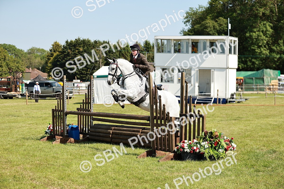 SBM_18847 - Class 114 - RIHS & SEIB Open Working Show Horse