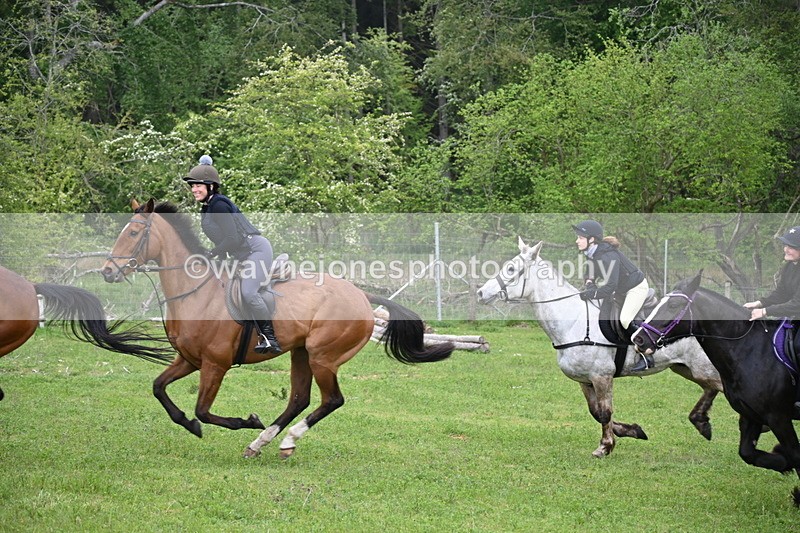 WJ6_2484 - A Camera