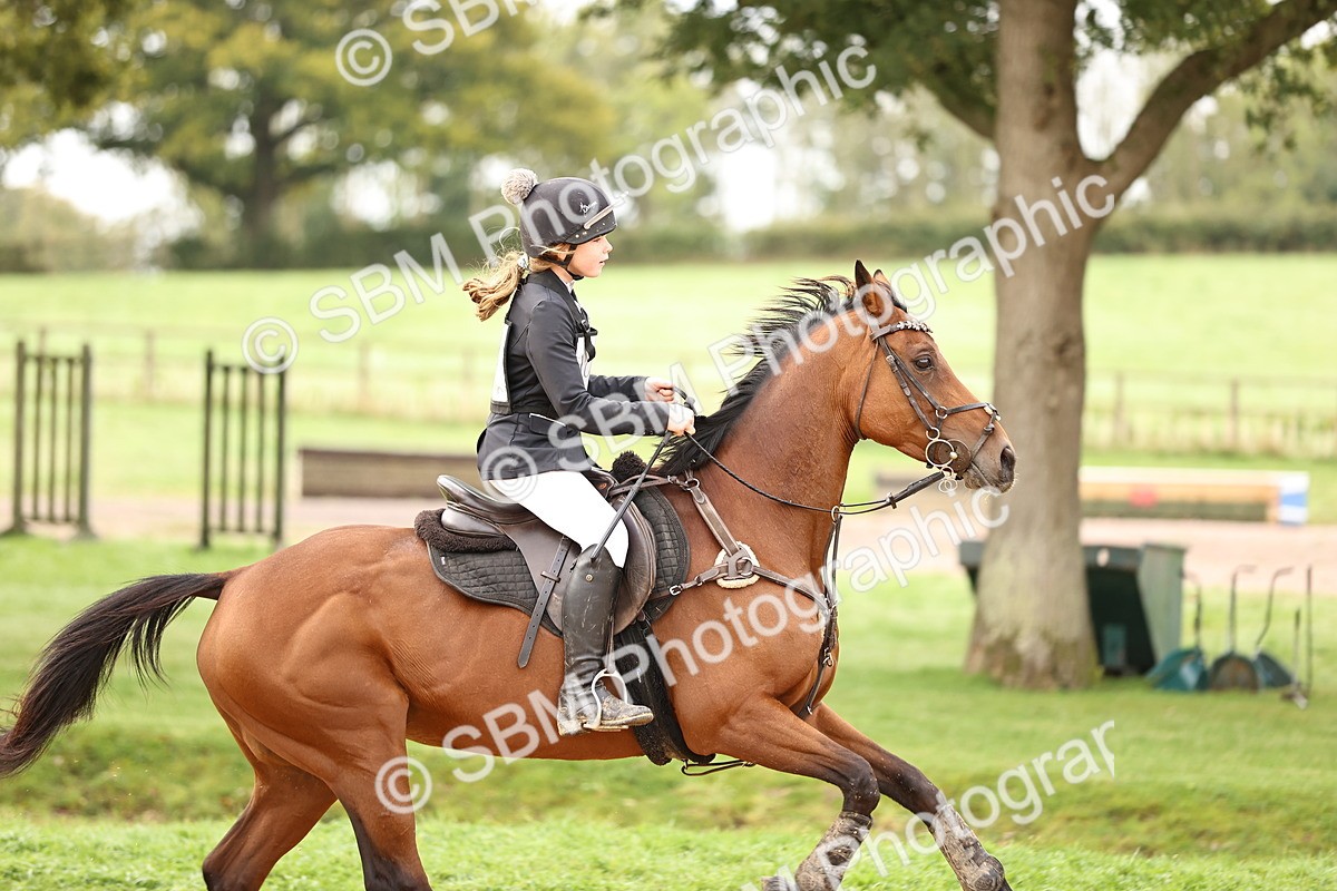 SBM_58383 - J41 - Grand Tour Horse & Pony 95cm