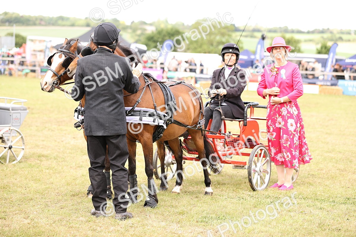 SBM_16120 - Class 91 - Scurry  exceeding 122cms