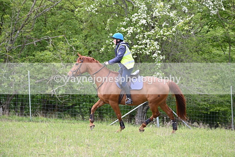 WJ6_1788 - Group 7 A&B Cameras