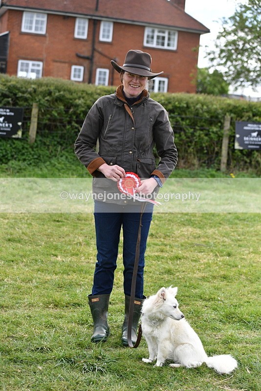 WJ5_9394 - Class 1 Best Cross Breed / Heniz 57