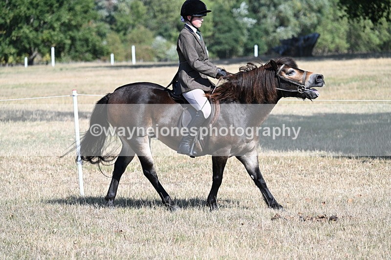 WJ7_3488 - Class 9 Mountain & Moorland Ridden