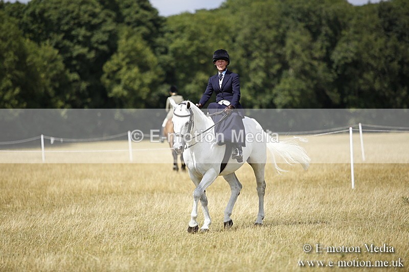 _C7A0288 - Side Saddle Classes BVRC Show 2018